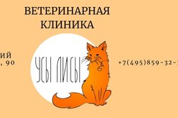 Ветеринарная клиника Усы Лисы, с рейтингом 4.9 - находится по адресу Москва, Ленинский проспект, 90 