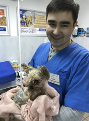 Ветеринар Айнур Кутлубаевич Макаев