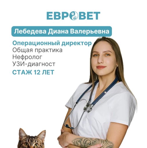Диана Валерьевна Лебедева