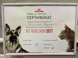 сертификат/документ Ветеринарной клиники Зоодоктор на улице Стара Загора