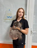 Костенко Анастасия Олеговна