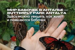 Турагентство Travelata, с рейтингом 4.5 - находится по адресу Москва, Звёздный бульвар, 10 ст1 