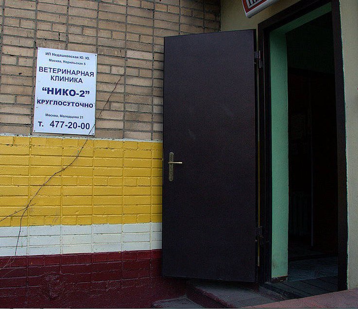 Ветклиника в колычево. Ветеринарная химки совхозная. Ветклиника на молодцова. Ветеринарный центр ул. Ветклиника на молодцова.