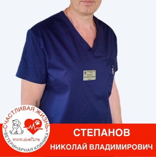 Николай Владимирович Степанов