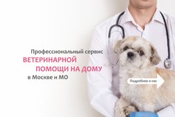 Центр ветеринарных услуг, с рейтингом 4 - находится по адресу Москва, Большая Филёвская улица, 14 к1 