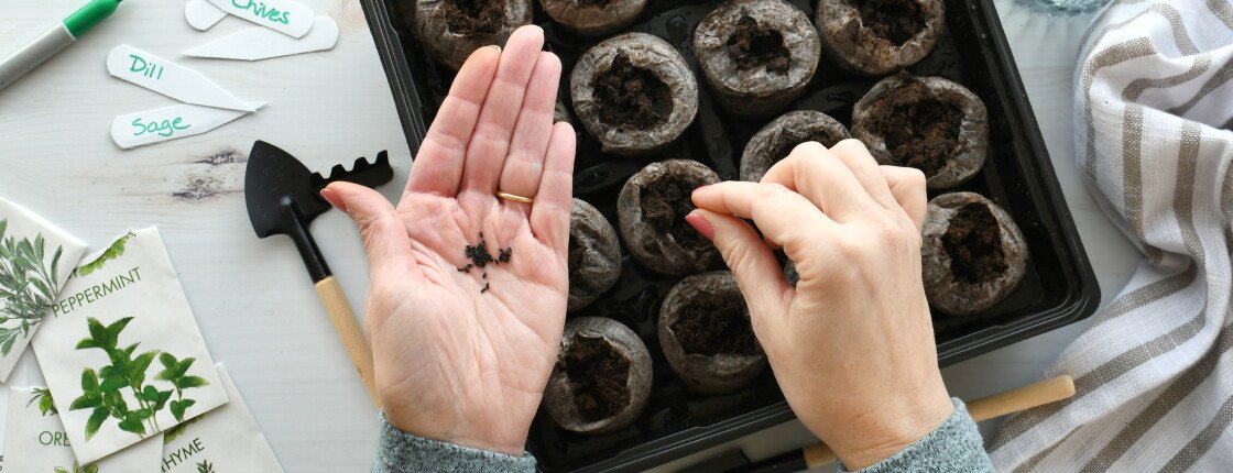 Источник фото: MargJohnsonVA / Shutterstock