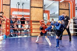 Спортивный клуб Koyot, с рейтингом 3.8 - находится по адресу Нижний Новгород, Тонкинская улица, 7 