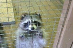 Кафе Страусиная ферма, с рейтингом 3.8 - находится по адресу Курганская область, д. Лукино, микрорайон Рощино, 14 