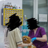 фото от пользователя Екатерина Шмелева в отзыве о ветеринарной клинике Вет Глобал на метро Сходненская