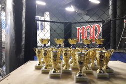 Клуб смешанных единоборств NordTraining MMA, с рейтингом 4.5 - находится по адресу Санкт-Петербург, Новосёлов, 49 