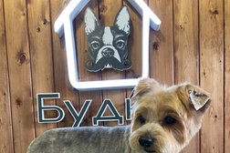 Груминг-салон Будка, с рейтингом 3.9 - находится по адресу Саратов, проспект им. Петра Столыпина, 40 