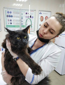 Лукина Ксения Валерьевна