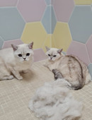 Злобина Екатерина Дмитриевна