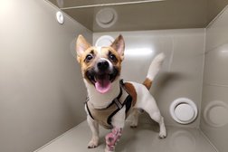 Ветеринарная клиника Ваш добрый доктор, с рейтингом 4.9 - находится по адресу Барнаул, улица Антона Петрова, 222А 