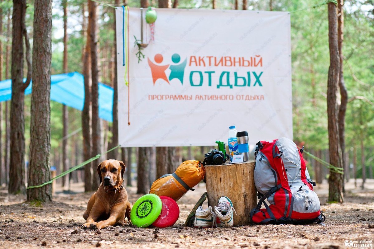 Активный туризм баннер