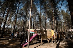 База отдыха Шишки на Лампушке, с рейтингом 4.1 - находится по адресу Ленинградская область, Приозерский район, Раздольевское сельское поселение, деревня Раздолье 