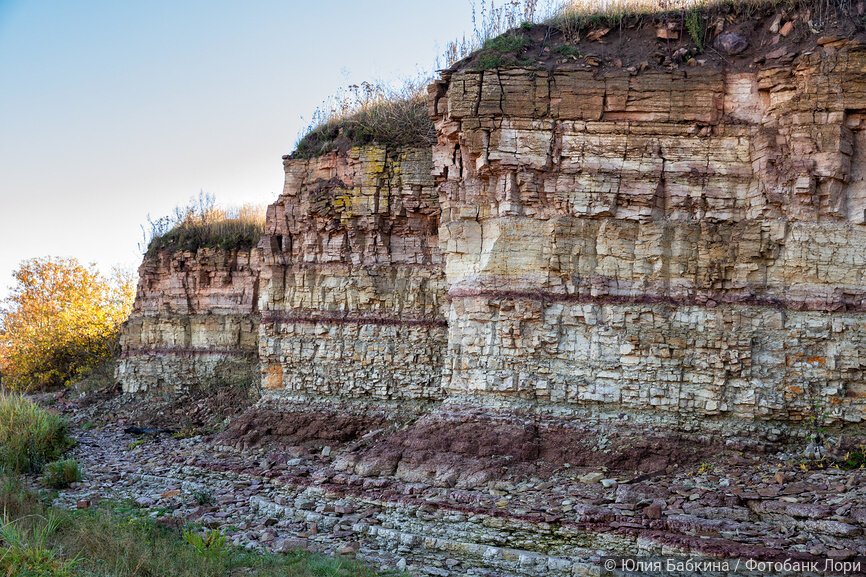 Ильменский глинт, берег озера Ильмень. Горизонтальные слои глинта отличаются от друг друга окрасом: от бежевого до красно-коричневого.