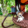 фото от пользователя Елена и Джастин в отзыве о ветеринарном центре Doc&Dog
