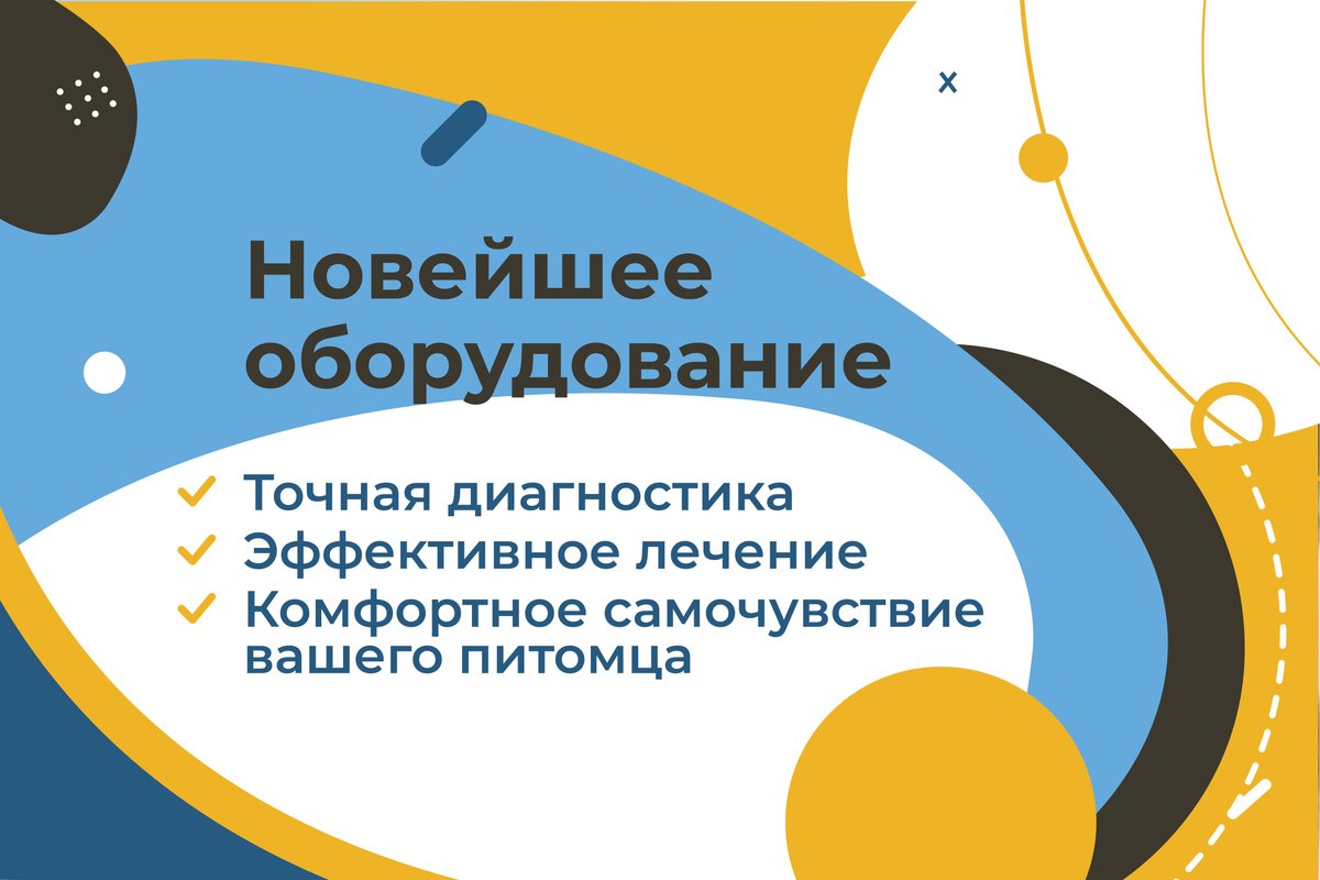 фотография Выездной ветеринарной службы ЗООВЕТ-Дом в Мытищах