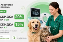 Ветеринарная клиника Хвостатая помощь, с рейтингом 4.9 - находится по адресу Москва, Складочная улица, 1 ст9 