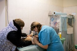 Ветеринарная клиника Лель, с рейтингом 4.6 - находится по адресу Нижний Новгород, улица Космонавта Комарова, 19 