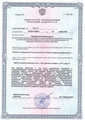 сертификат/документ Клиники современной флебологии