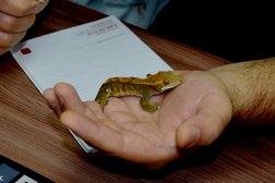 Ветеринарная клиника На Пушкина, с рейтингом 4.3 - находится по адресу Пенза, Пушкина, 43 