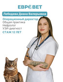 Лебедева Диана Валерьевна