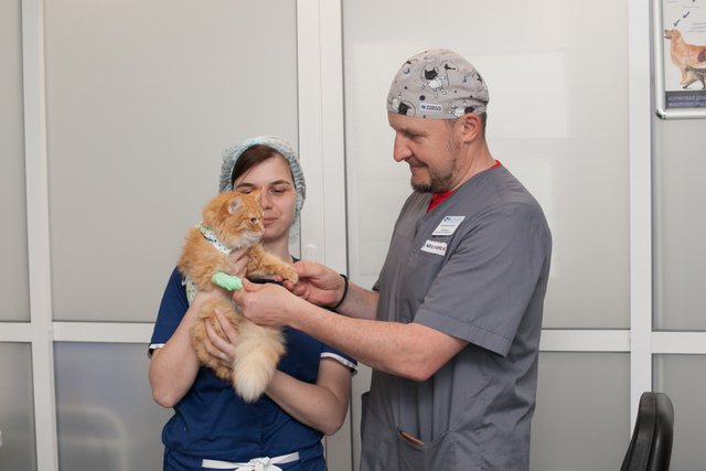 Алисавет витте 2. Алисавет витте 2. Алисавет москва чоботовская улица 17 корп 1. Алисавет витте 2. Аллея витте 2 ветклиника.