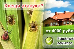 ДезСервис, с рейтингом 2.8 - находится по адресу Владимир, Почаевская улица, 1а 