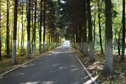 Лечебно-профилактическое учреждение Лечебно-оздоровительный центр МИД России, с рейтингом 3.4 - находится по адресу Московская область, пос. Юность, территория Больница МИД, 1 