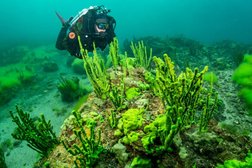 Дайвинг-клуб Море воды, с рейтингом 4.5 - находится по адресу Владивосток, улица Лейтенанта Шмидта, 17 ст4 