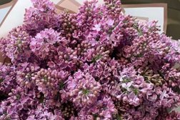 Магазин цветов Модный букет, с рейтингом 4.5 - находится по адресу Москва, проспект Мира, 88 ст1 