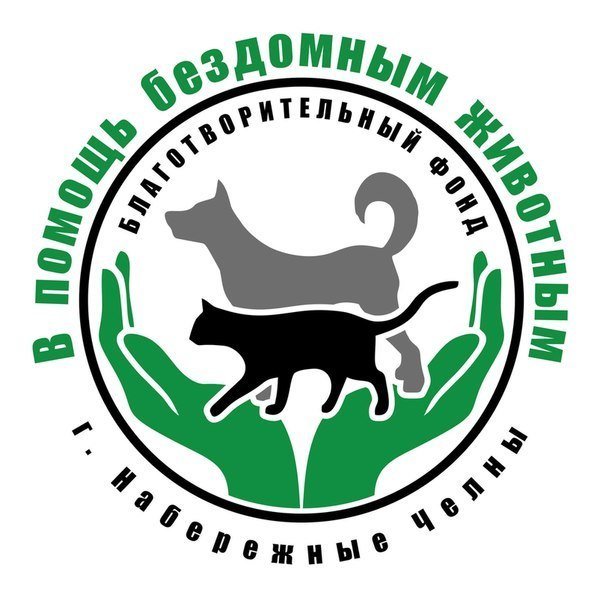 Благотворительные проекты примеры животных