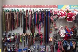 Зоомагазин Четыре Лапы, с рейтингом 4 - находится по адресу Рязань, Московское шоссе, 21 