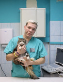 Тимофеев Максим Владимирович