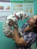 Вязьмина Вера Геннадьевна