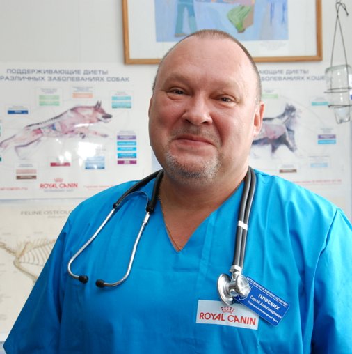 Сергей Александрович Плеских