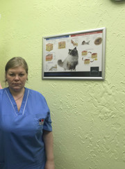 Ветеринарный анестезиолог-реаниматолог, ветеринар Оксана Викторовна Шестернина