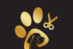 Зоосалон Заботливый грумер, с рейтингом 4.6 - находится по адресу Самара, проспект Кирова, 275 