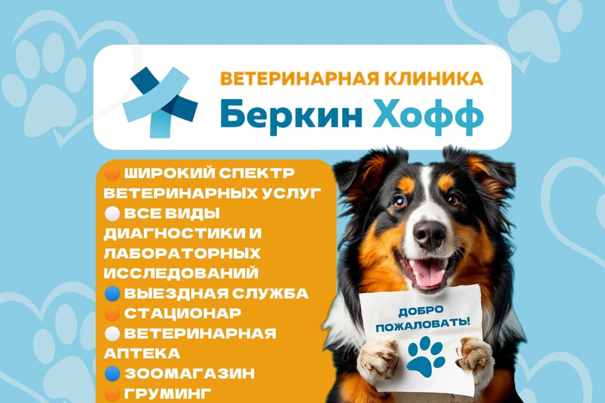 фотография Ветеринарной клиники Беркин хофф на Нарвской улице