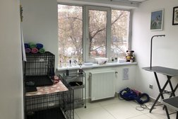 Салон груминга Триумф, с рейтингом 4.8 - находится по адресу Екатеринбург, улица Сыромолотова, 17 