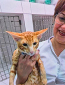 Абрамова Ольга Викторовна