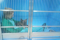 Зооцентр Кис, с рейтингом 2.3 - находится по адресу Москва, 1-й Дачно-Мещерский проезд, 4 