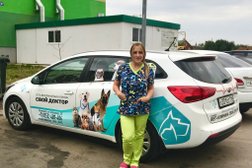 Ветеринарная клиника Свой доктор, с рейтингом 3.9 - находится по адресу Республика Татарстан, Альметьевск, улица Белоглазова, 137 