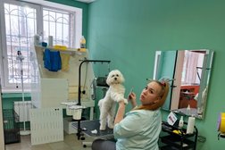 Груминг-салон Серебряный ветер, с рейтингом 5 - находится по адресу Московская область, Клин, улица Дзержинского, 6А 