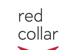 Digital-агентство Red Collar, с рейтингом 3.3 - находится по адресу Воронеж, улица Текстильщиков, 5Б 