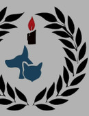 Султанов Рамиль