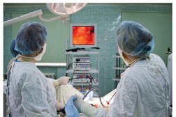 Акушерский стационар Родильный дом №5, с рейтингом 3.5 - находится по адресу Нижний Новгород, Берёзовская улица, 85 