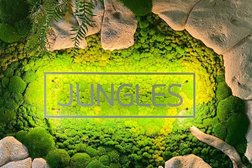 Детская стоматологическая клиника Джунгли Вид, с рейтингом 5 - находится по адресу Ростов-на-Дону, Стачки проспект, 177 